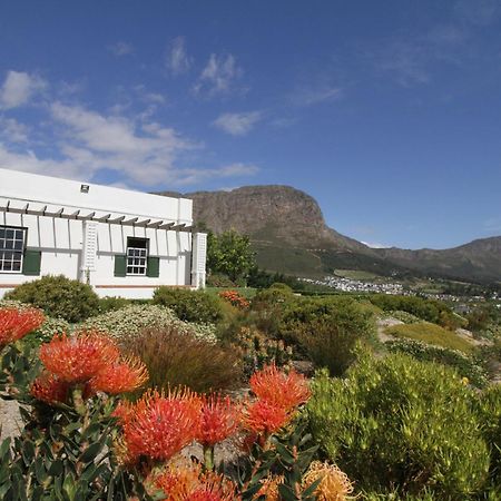 The Vineyard Cottage By L' Amitie Estate Franschhoek Luaran gambar